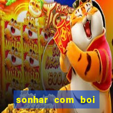 sonhar com boi branco jogo do bicho